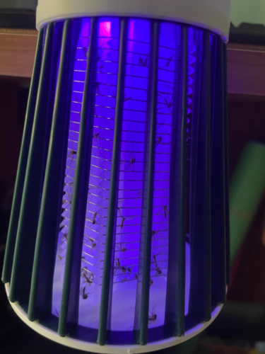 Bug Zapper Lamp – Usb Charging Cable photo review